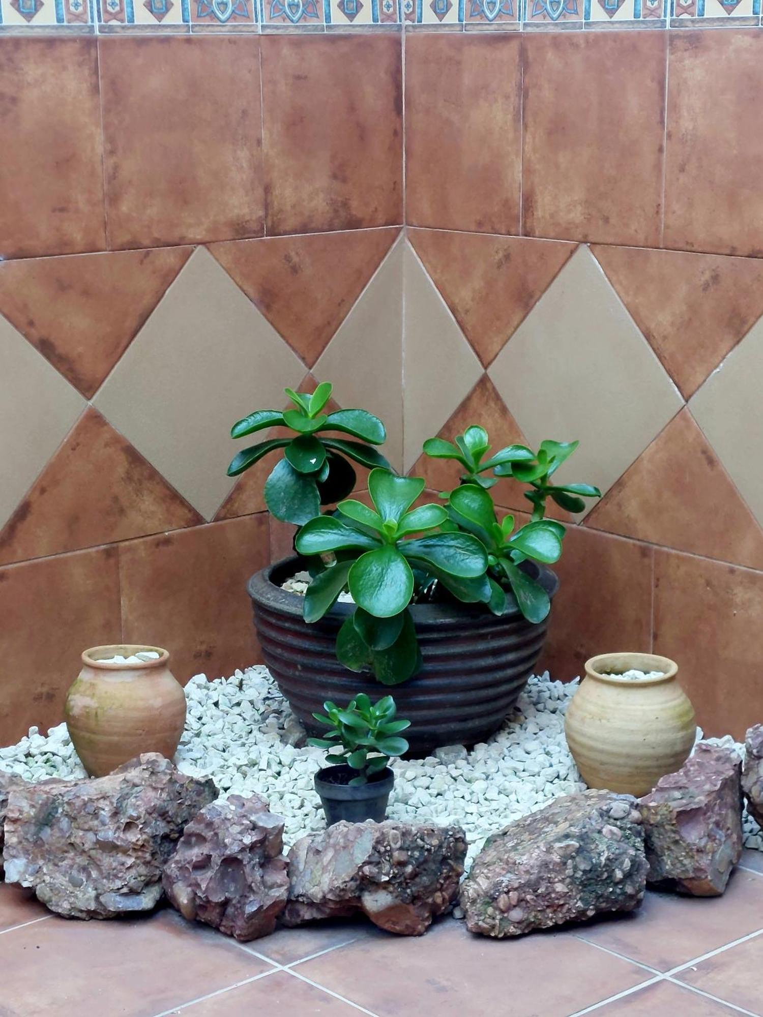 La Plazuela, Casa Andaluza Con Patio. Apartment Montoro Bagian luar foto